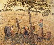 Camille Pissarro Pick Apple USA oil painting artist